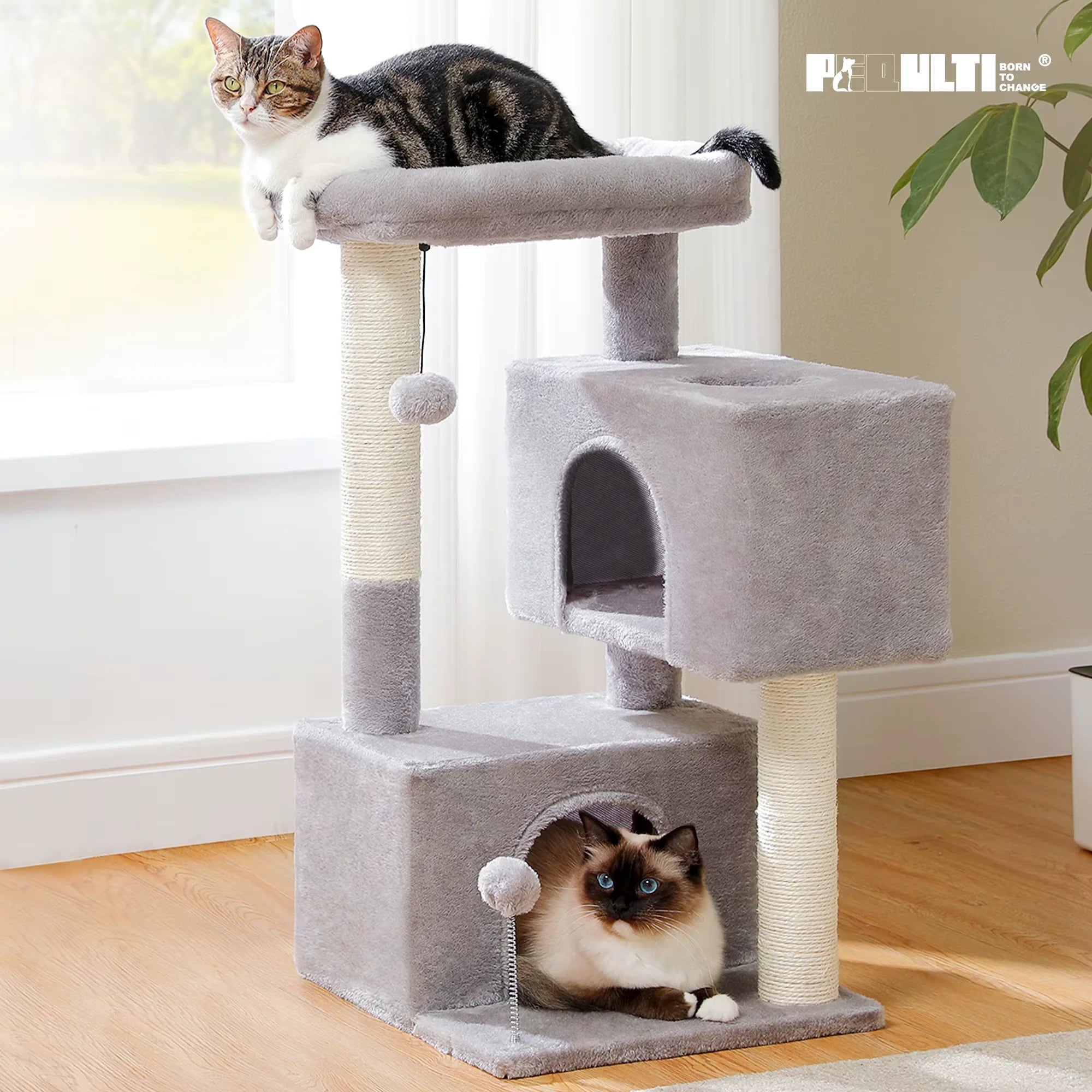 Cat Tree for Large Cats Cat Tower for Indoor