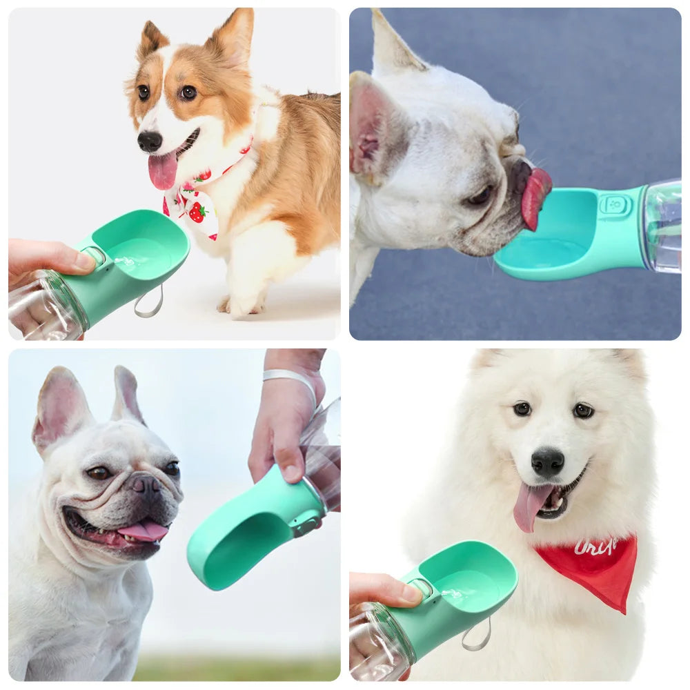 Leak-Proof Portable Water Bottle for Dogs & Cats — Ideal for Walks & Travel